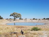 Tage Rundreise Namibia – Die Erlebnistour mit  Kalahari – Fish River-Canyon – Lüderitz – Namib – Swakopmund – Erongo Gebirge – Etosha Nationalpark – Windhoek (1517)