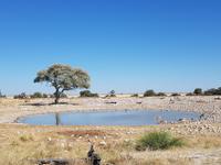 Tage Rundreise Namibia – Die Erlebnistour mit  Kalahari – Fish River-Canyon – Lüderitz – Namib – Swakopmund – Erongo Gebirge – Etosha Nationalpark – Windhoek (1518)
