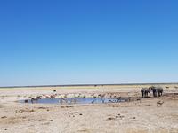 Tage Rundreise Namibia – Die Erlebnistour mit  Kalahari – Fish River-Canyon – Lüderitz – Namib – Swakopmund – Erongo Gebirge – Etosha Nationalpark – Windhoek (1531)