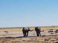 Tage Rundreise Namibia – Die Erlebnistour mit  Kalahari – Fish River-Canyon – Lüderitz – Namib – Swakopmund – Erongo Gebirge – Etosha Nationalpark – Windhoek (1532)