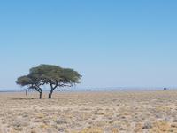 Tage Rundreise Namibia – Die Erlebnistour mit  Kalahari – Fish River-Canyon – Lüderitz – Namib – Swakopmund – Erongo Gebirge – Etosha Nationalpark – Windhoek (1535)