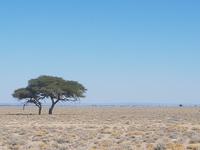 Tage Rundreise Namibia – Die Erlebnistour mit  Kalahari – Fish River-Canyon – Lüderitz – Namib – Swakopmund – Erongo Gebirge – Etosha Nationalpark – Windhoek (1537)