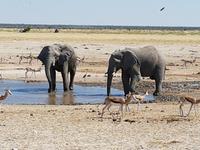 Tage Rundreise Namibia – Die Erlebnistour mit  Kalahari – Fish River-Canyon – Lüderitz – Namib – Swakopmund – Erongo Gebirge – Etosha Nationalpark – Windhoek (1539)