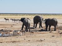 Tage Rundreise Namibia – Die Erlebnistour mit  Kalahari – Fish River-Canyon – Lüderitz – Namib – Swakopmund – Erongo Gebirge – Etosha Nationalpark – Windhoek (1549)