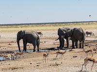 Tage Rundreise Namibia – Die Erlebnistour mit  Kalahari – Fish River-Canyon – Lüderitz – Namib – Swakopmund – Erongo Gebirge – Etosha Nationalpark – Windhoek (1550)
