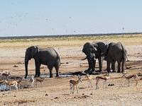 Tage Rundreise Namibia – Die Erlebnistour mit  Kalahari – Fish River-Canyon – Lüderitz – Namib – Swakopmund – Erongo Gebirge – Etosha Nationalpark – Windhoek (1551)