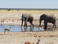 Tage Rundreise Namibia – Die Erlebnistour mit  Kalahari – Fish River-Canyon – Lüderitz – Namib – Swakopmund – Erongo Gebirge – Etosha Nationalpark – Windhoek (1552)