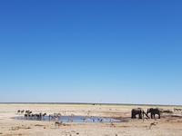 Tage Rundreise Namibia – Die Erlebnistour mit  Kalahari – Fish River-Canyon – Lüderitz – Namib – Swakopmund – Erongo Gebirge – Etosha Nationalpark – Windhoek (1554)