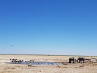 Tage Rundreise Namibia – Die Erlebnistour mit  Kalahari – Fish River-Canyon – Lüderitz – Namib – Swakopmund – Erongo Gebirge – Etosha Nationalpark – Windhoek (1555)