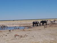 Tage Rundreise Namibia – Die Erlebnistour mit  Kalahari – Fish River-Canyon – Lüderitz – Namib – Swakopmund – Erongo Gebirge – Etosha Nationalpark – Windhoek (1562)