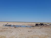 Tage Rundreise Namibia – Die Erlebnistour mit  Kalahari – Fish River-Canyon – Lüderitz – Namib – Swakopmund – Erongo Gebirge – Etosha Nationalpark – Windhoek (1566)