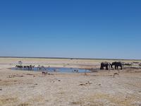 Tage Rundreise Namibia – Die Erlebnistour mit  Kalahari – Fish River-Canyon – Lüderitz – Namib – Swakopmund – Erongo Gebirge – Etosha Nationalpark – Windhoek (1567)