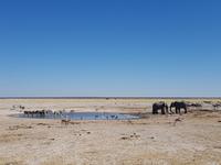 Tage Rundreise Namibia – Die Erlebnistour mit  Kalahari – Fish River-Canyon – Lüderitz – Namib – Swakopmund – Erongo Gebirge – Etosha Nationalpark – Windhoek (1569)