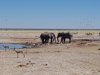 Tage Rundreise Namibia – Die Erlebnistour mit  Kalahari – Fish River-Canyon – Lüderitz – Namib – Swakopmund – Erongo Gebirge – Etosha Nationalpark – Windhoek (1572)
