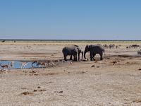 Tage Rundreise Namibia – Die Erlebnistour mit  Kalahari – Fish River-Canyon – Lüderitz – Namib – Swakopmund – Erongo Gebirge – Etosha Nationalpark – Windhoek (1574)