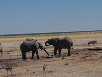 Tage Rundreise Namibia – Die Erlebnistour mit  Kalahari – Fish River-Canyon – Lüderitz – Namib – Swakopmund – Erongo Gebirge – Etosha Nationalpark – Windhoek (1577)