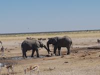 Tage Rundreise Namibia – Die Erlebnistour mit  Kalahari – Fish River-Canyon – Lüderitz – Namib – Swakopmund – Erongo Gebirge – Etosha Nationalpark – Windhoek (1578)