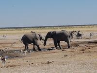 Tage Rundreise Namibia – Die Erlebnistour mit  Kalahari – Fish River-Canyon – Lüderitz – Namib – Swakopmund – Erongo Gebirge – Etosha Nationalpark – Windhoek (1580)