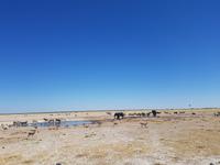 Tage Rundreise Namibia – Die Erlebnistour mit  Kalahari – Fish River-Canyon – Lüderitz – Namib – Swakopmund – Erongo Gebirge – Etosha Nationalpark – Windhoek (1588)