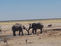 Tage Rundreise Namibia – Die Erlebnistour mit  Kalahari – Fish River-Canyon – Lüderitz – Namib – Swakopmund – Erongo Gebirge – Etosha Nationalpark – Windhoek (1589)