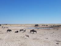 Tage Rundreise Namibia – Die Erlebnistour mit  Kalahari – Fish River-Canyon – Lüderitz – Namib – Swakopmund – Erongo Gebirge – Etosha Nationalpark – Windhoek (1591)