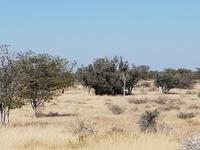 Tage Rundreise Namibia – Die Erlebnistour mit  Kalahari – Fish River-Canyon – Lüderitz – Namib – Swakopmund – Erongo Gebirge – Etosha Nationalpark – Windhoek (1607)