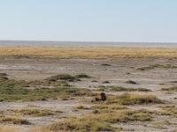 Tage Rundreise Namibia – Die Erlebnistour mit  Kalahari – Fish River-Canyon – Lüderitz – Namib – Swakopmund – Erongo Gebirge – Etosha Nationalpark – Windhoek (1628)