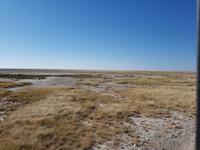 Tage Rundreise Namibia – Die Erlebnistour mit  Kalahari – Fish River-Canyon – Lüderitz – Namib – Swakopmund – Erongo Gebirge – Etosha Nationalpark – Windhoek (1637)