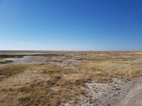 Tage Rundreise Namibia – Die Erlebnistour mit  Kalahari – Fish River-Canyon – Lüderitz – Namib – Swakopmund – Erongo Gebirge – Etosha Nationalpark – Windhoek (1638)