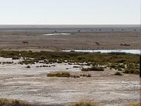 Tage Rundreise Namibia – Die Erlebnistour mit  Kalahari – Fish River-Canyon – Lüderitz – Namib – Swakopmund – Erongo Gebirge – Etosha Nationalpark – Windhoek (1644)