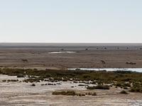 Tage Rundreise Namibia – Die Erlebnistour mit  Kalahari – Fish River-Canyon – Lüderitz – Namib – Swakopmund – Erongo Gebirge – Etosha Nationalpark – Windhoek (1645)