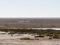 Tage Rundreise Namibia – Die Erlebnistour mit  Kalahari – Fish River-Canyon – Lüderitz – Namib – Swakopmund – Erongo Gebirge – Etosha Nationalpark – Windhoek (1646)