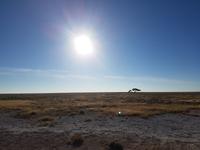 Tage Rundreise Namibia – Die Erlebnistour mit  Kalahari – Fish River-Canyon – Lüderitz – Namib – Swakopmund – Erongo Gebirge – Etosha Nationalpark – Windhoek (1675)