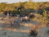 Tage Rundreise Namibia – Die Erlebnistour mit  Kalahari – Fish River-Canyon – Lüderitz – Namib – Swakopmund – Erongo Gebirge – Etosha Nationalpark – Windhoek (1689)