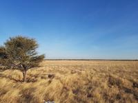 Tage Rundreise Namibia – Die Erlebnistour mit  Kalahari – Fish River-Canyon – Lüderitz – Namib – Swakopmund – Erongo Gebirge – Etosha Nationalpark – Windhoek (1696)