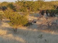 Tage Rundreise Namibia – Die Erlebnistour mit  Kalahari – Fish River-Canyon – Lüderitz – Namib – Swakopmund – Erongo Gebirge – Etosha Nationalpark – Windhoek (1702)