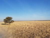 Tage Rundreise Namibia – Die Erlebnistour mit  Kalahari – Fish River-Canyon – Lüderitz – Namib – Swakopmund – Erongo Gebirge – Etosha Nationalpark – Windhoek (1704)