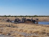 Tage Rundreise Namibia – Die Erlebnistour mit  Kalahari – Fish River-Canyon – Lüderitz – Namib – Swakopmund – Erongo Gebirge – Etosha Nationalpark – Windhoek (1705)