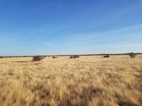 Tage Rundreise Namibia – Die Erlebnistour mit  Kalahari – Fish River-Canyon – Lüderitz – Namib – Swakopmund – Erongo Gebirge – Etosha Nationalpark – Windhoek (1710)