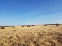 Tage Rundreise Namibia – Die Erlebnistour mit  Kalahari – Fish River-Canyon – Lüderitz – Namib – Swakopmund – Erongo Gebirge – Etosha Nationalpark – Windhoek (1711)