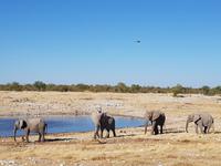 Tage Rundreise Namibia – Die Erlebnistour mit  Kalahari – Fish River-Canyon – Lüderitz – Namib – Swakopmund – Erongo Gebirge – Etosha Nationalpark – Windhoek (1713)
