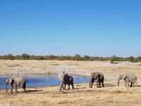 Tage Rundreise Namibia – Die Erlebnistour mit  Kalahari – Fish River-Canyon – Lüderitz – Namib – Swakopmund – Erongo Gebirge – Etosha Nationalpark – Windhoek (1714)