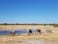 Tage Rundreise Namibia – Die Erlebnistour mit  Kalahari – Fish River-Canyon – Lüderitz – Namib – Swakopmund – Erongo Gebirge – Etosha Nationalpark – Windhoek (1715)