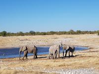 Tage Rundreise Namibia – Die Erlebnistour mit  Kalahari – Fish River-Canyon – Lüderitz – Namib – Swakopmund – Erongo Gebirge – Etosha Nationalpark – Windhoek (1716)