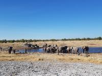 Tage Rundreise Namibia – Die Erlebnistour mit  Kalahari – Fish River-Canyon – Lüderitz – Namib – Swakopmund – Erongo Gebirge – Etosha Nationalpark – Windhoek (1717)