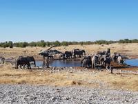 Tage Rundreise Namibia – Die Erlebnistour mit  Kalahari – Fish River-Canyon – Lüderitz – Namib – Swakopmund – Erongo Gebirge – Etosha Nationalpark – Windhoek (1718)