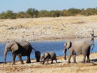 Tage Rundreise Namibia – Die Erlebnistour mit  Kalahari – Fish River-Canyon – Lüderitz – Namib – Swakopmund – Erongo Gebirge – Etosha Nationalpark – Windhoek (1720)