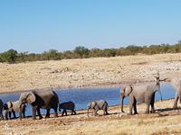 Tage Rundreise Namibia – Die Erlebnistour mit  Kalahari – Fish River-Canyon – Lüderitz – Namib – Swakopmund – Erongo Gebirge – Etosha Nationalpark – Windhoek (1721)