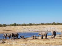 Tage Rundreise Namibia – Die Erlebnistour mit  Kalahari – Fish River-Canyon – Lüderitz – Namib – Swakopmund – Erongo Gebirge – Etosha Nationalpark – Windhoek (1722)