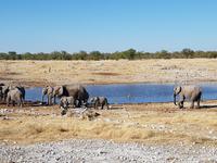 Tage Rundreise Namibia – Die Erlebnistour mit  Kalahari – Fish River-Canyon – Lüderitz – Namib – Swakopmund – Erongo Gebirge – Etosha Nationalpark – Windhoek (1723)